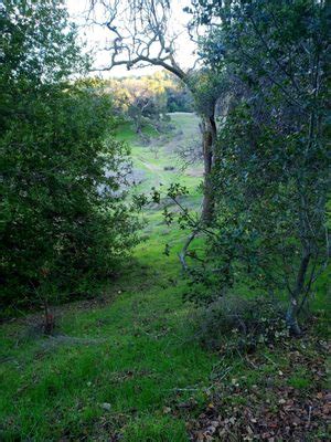 deer park novato|deer island coastal preserve.